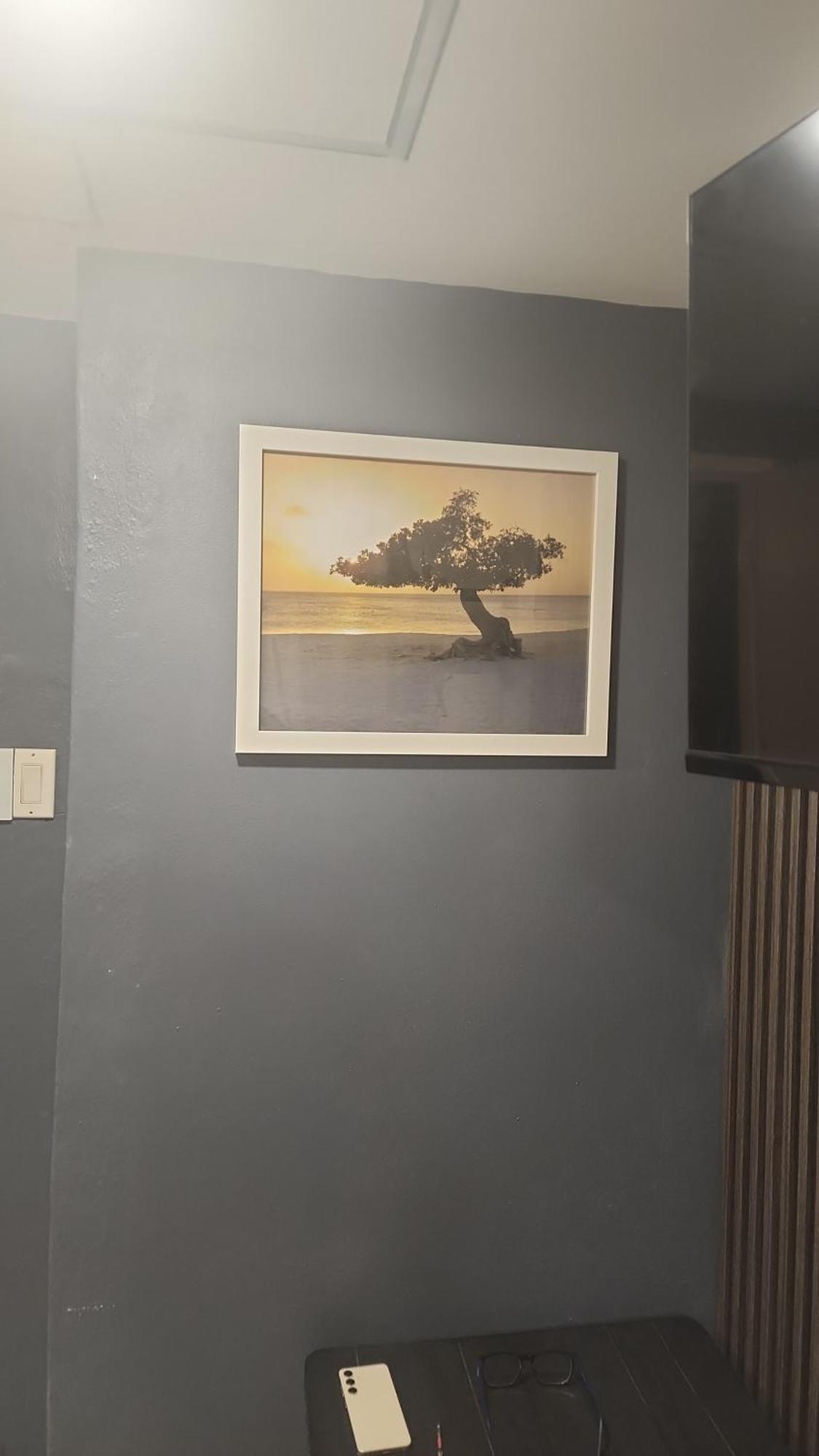 A1 Apartments Aruba Oranjestad Rum bild